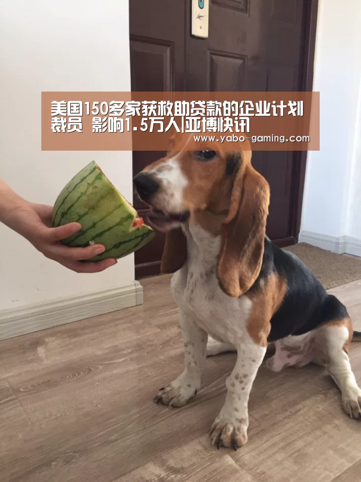 美国150多家获救助贷款的企业计划裁员 影响1.5万人|亚博快讯(图1) 亚博快讯