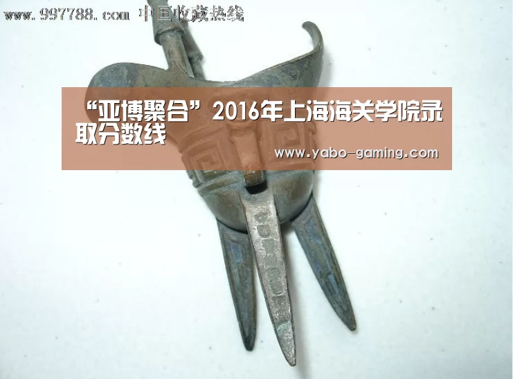 “亚博聚合”2016年上海海关学院录取分数线(图4) 亚博导航