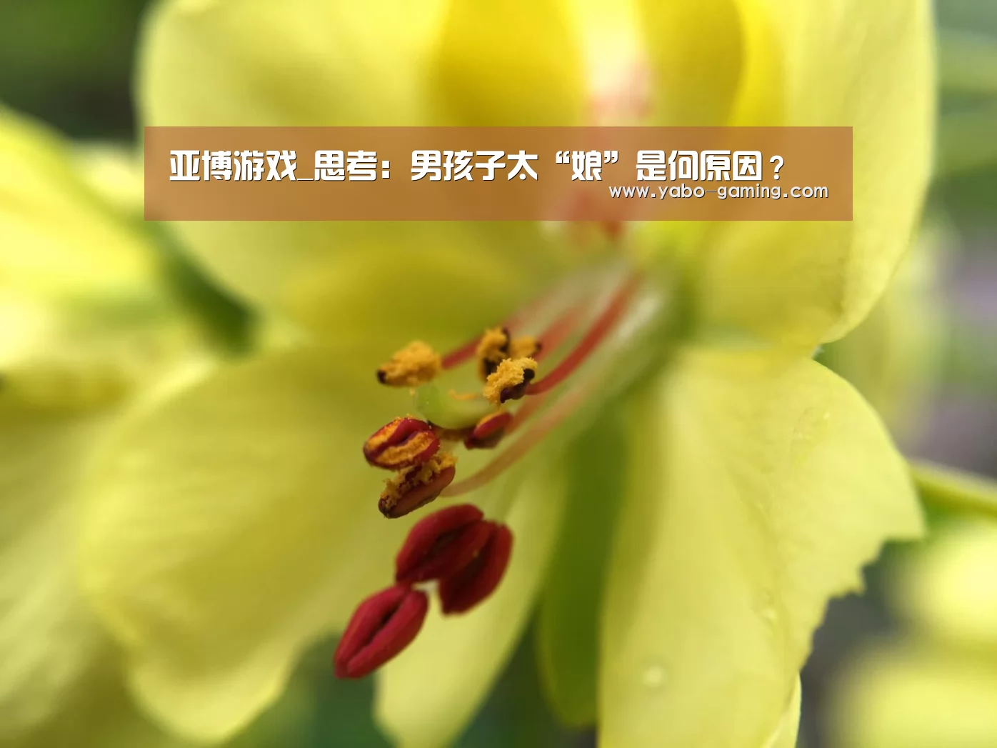 亚博导航